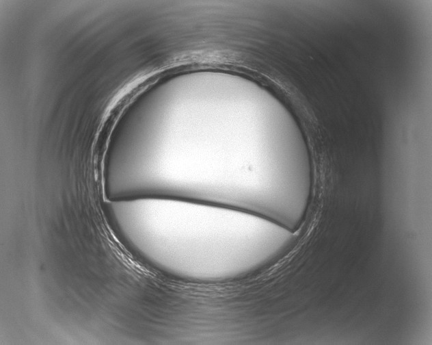 X0000086311070200703300950