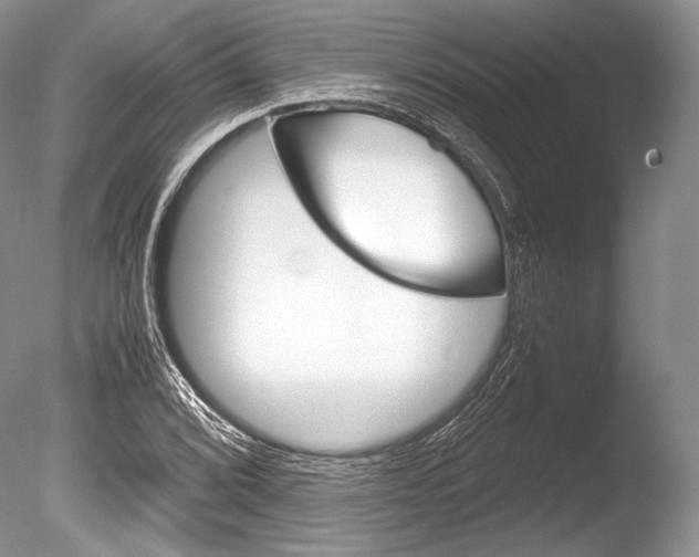X0000086311072200703300950