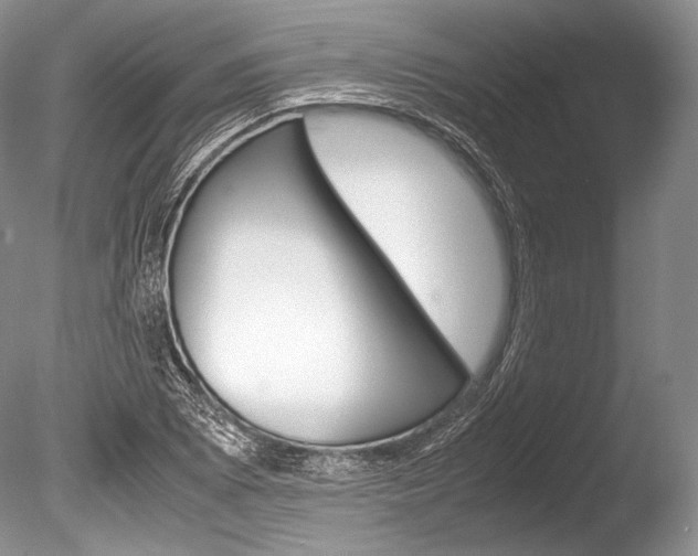 X0000086311073200703300950