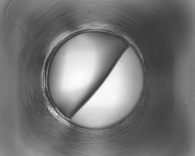 X0000086311080200703300950