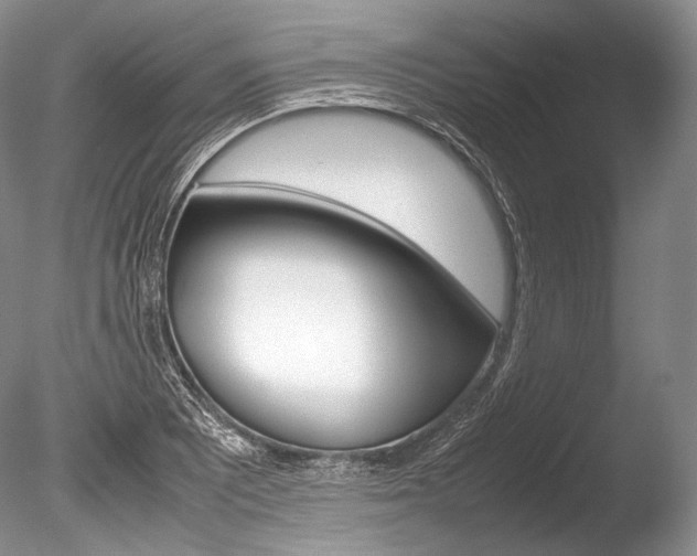 X0000086311081200703300950