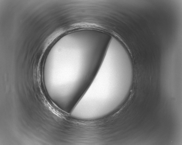 X0000086311082200703300950
