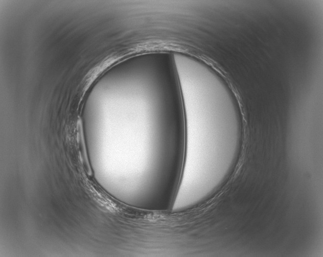 X0000086311089200703300950