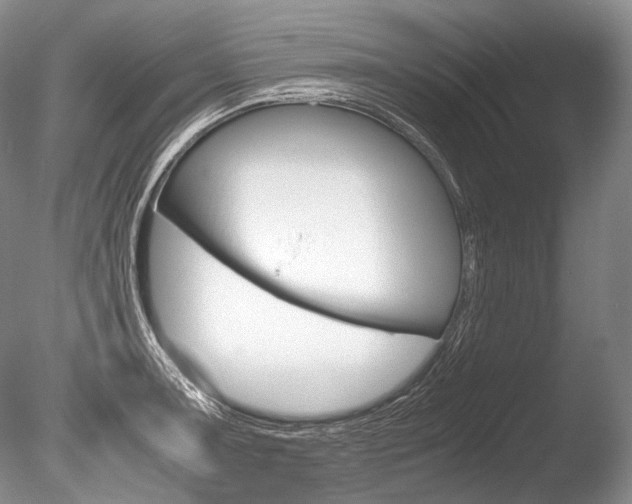 X0000086311091200703300950