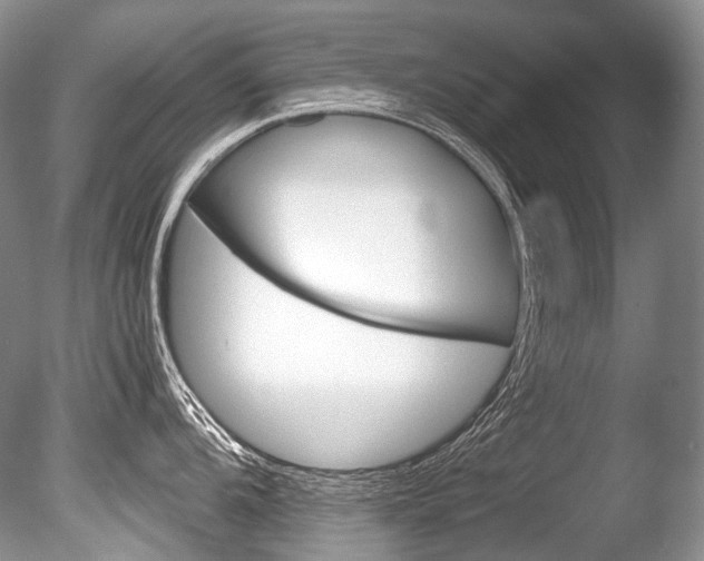 X0000086311104200703300949