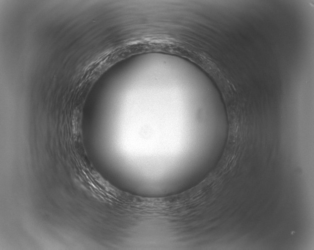 X0000086311110200703300949