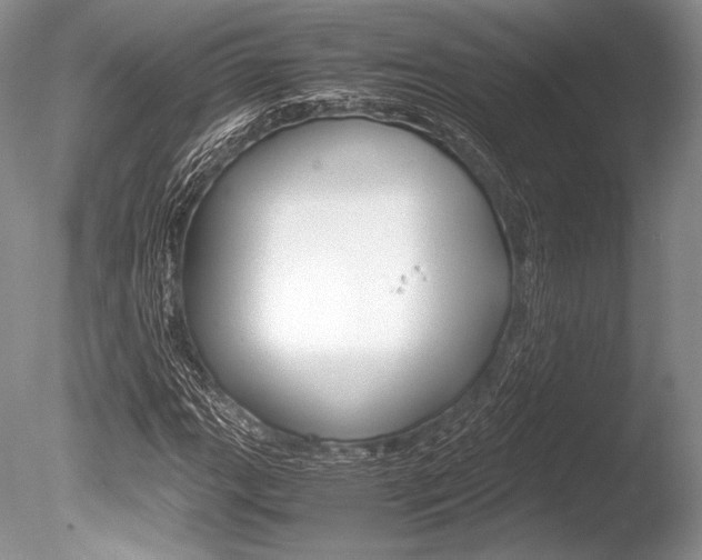 X0000086311111200703300949