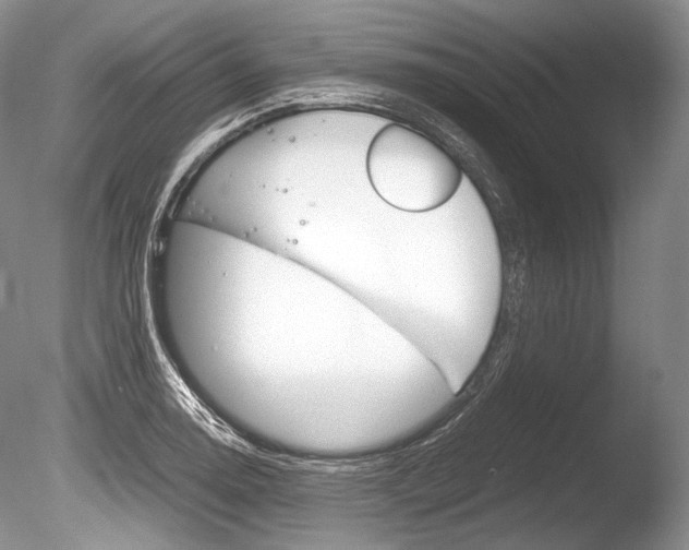 X0000086311130200703300949