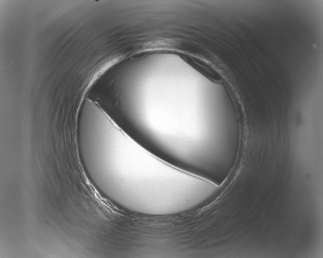X0000086311145200703300949