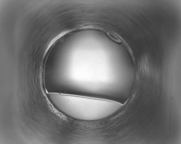 X0000086311149200703300949