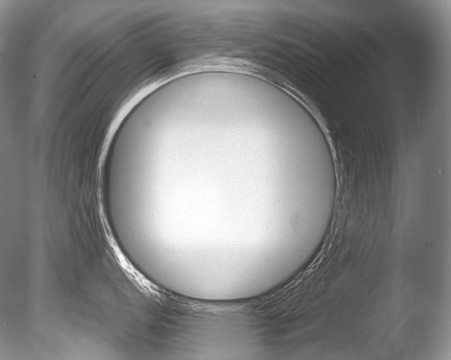X0000086311152200703300949