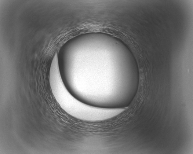 X0000086311157200703300948
