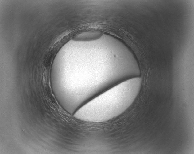 X0000086311158200703300948