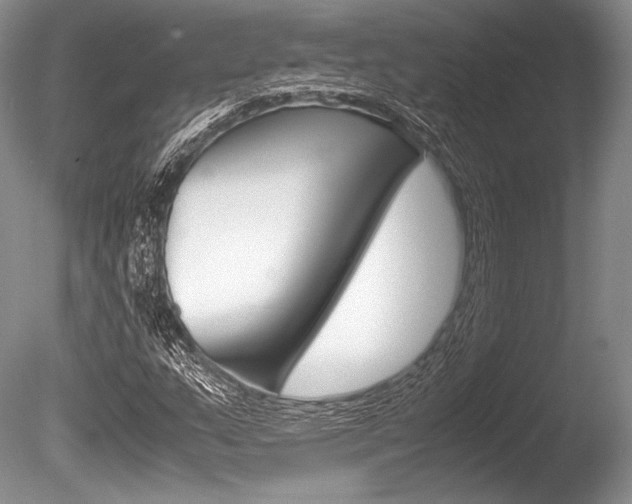 X0000086311159200703300948