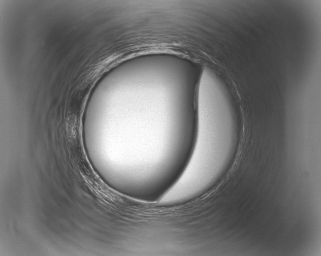 X0000086311161200703300948