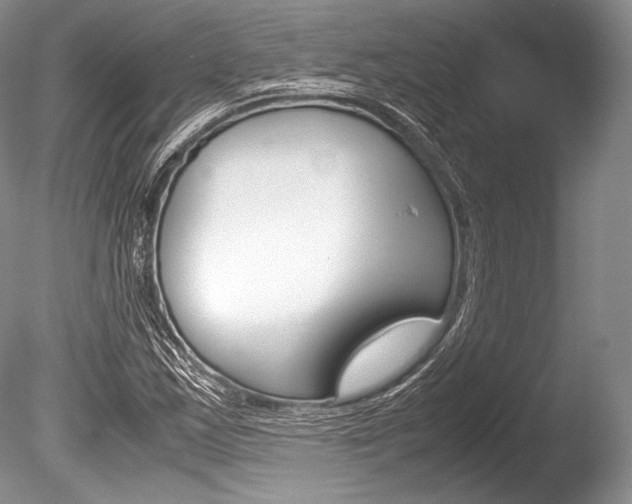 X0000086311163200703300948