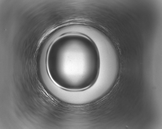 X0000086311164200703300948