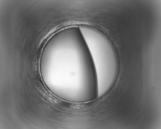 X0000086311165200703300948