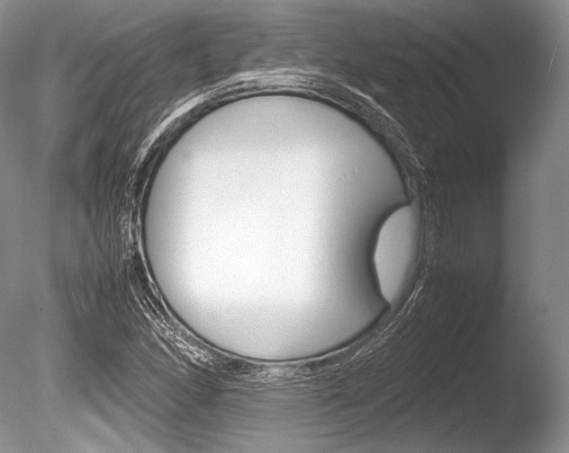 X0000086311166200703300948