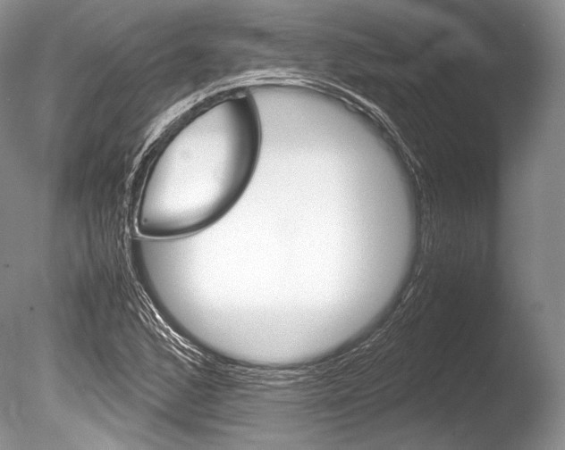 X0000086311168200703300948