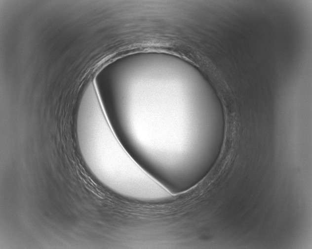 X0000086311169200703300948