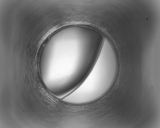 X0000086311173200703300948