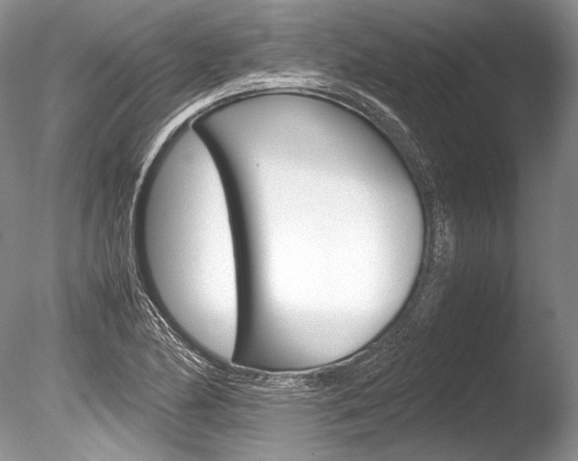 X0000086311174200703300948