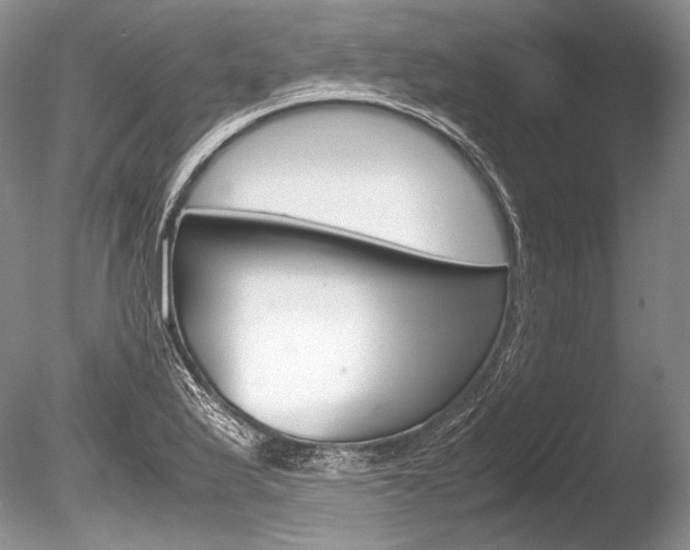 X0000086311175200703300948