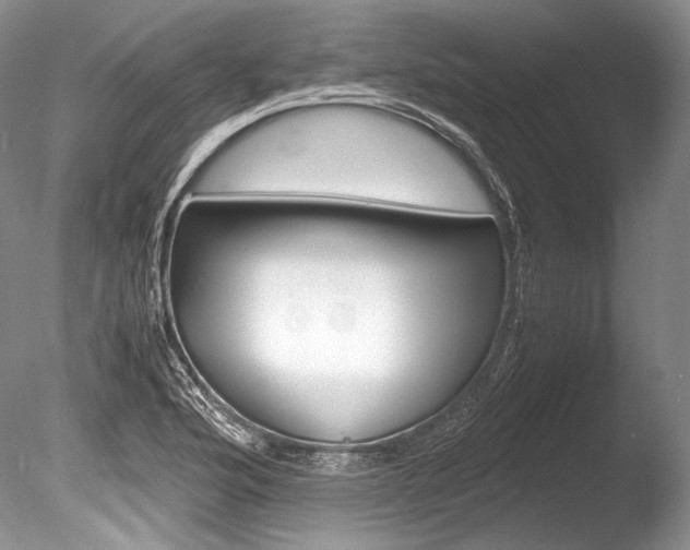 X0000086311176200703300948