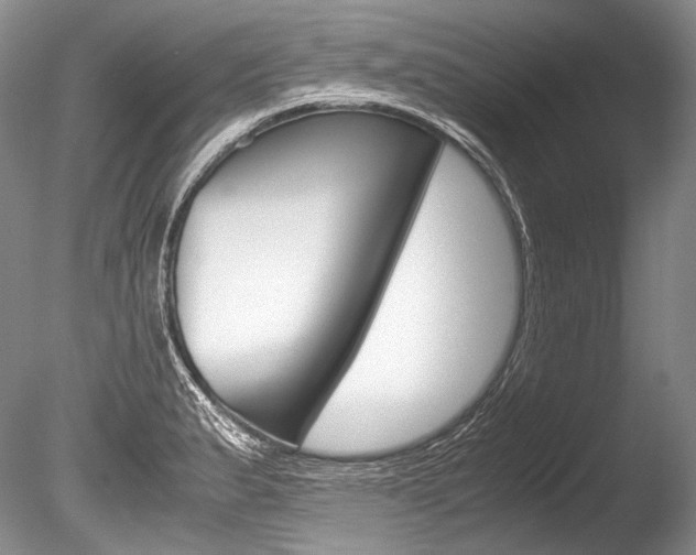 X0000086311183200703300948