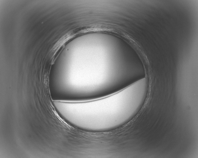 X0000086311185200703300948