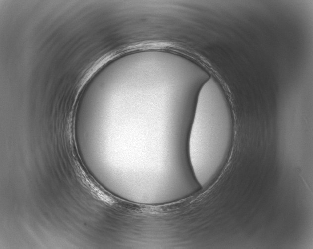 X0000086311186200703300948