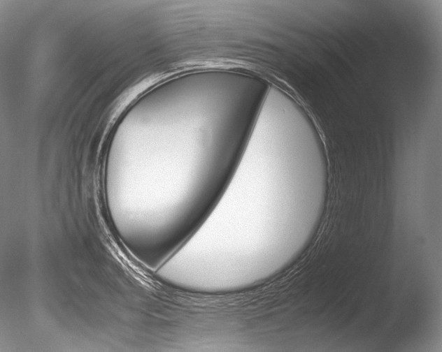 X0000086311187200703300948