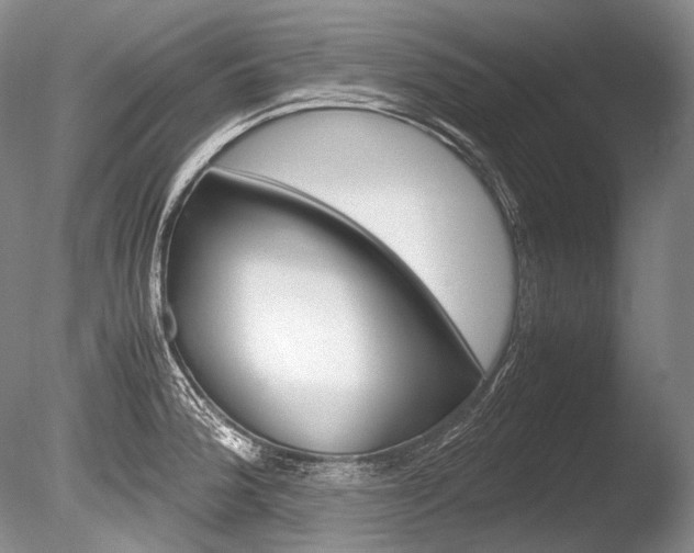 X0000086311188200703300948