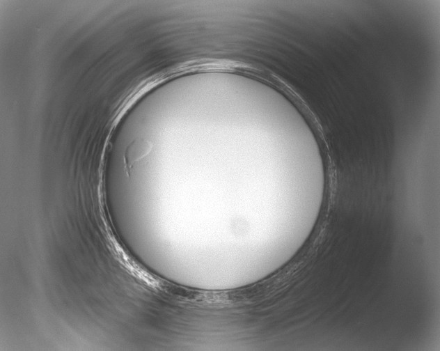 X0000086311194200703300948