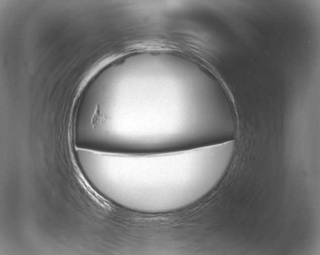 X0000086311195200703300948