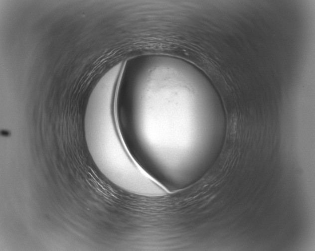 X0000086311202200703300947