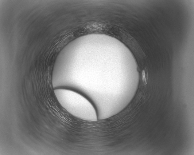 X0000086311203200703300947