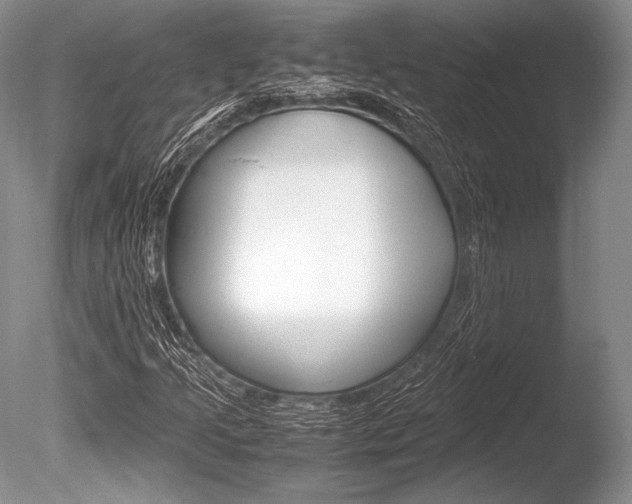 X0000086311205200703300947