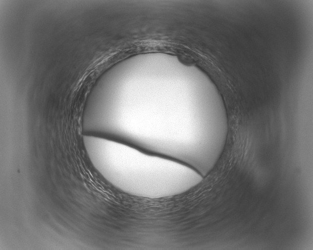 X0000086311207200703300947