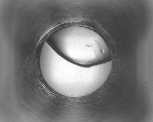 X0000086311208200703300947