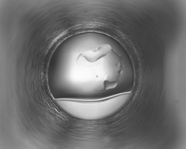 X0000086311210200703300947