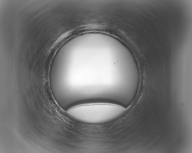 X0000086311213200703300947