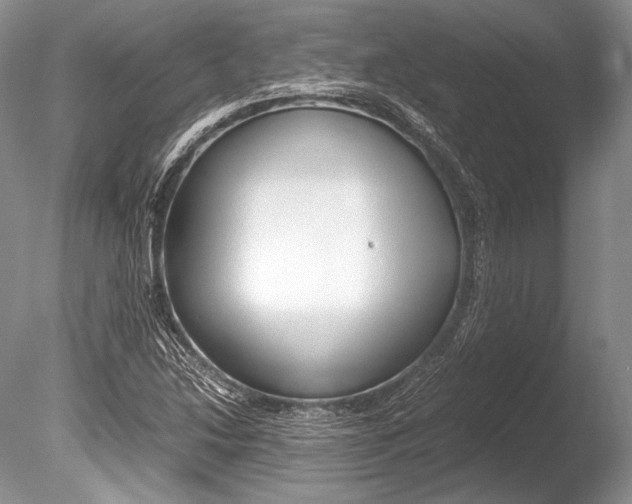 X0000086311214200703300947