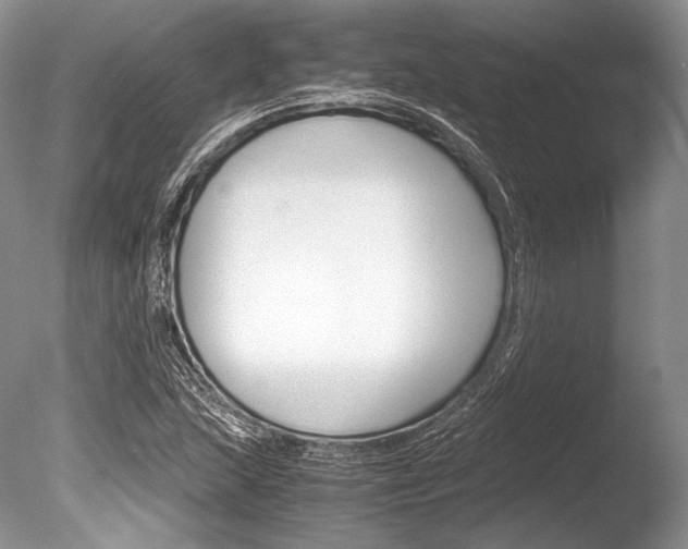 X0000086311215200703300947