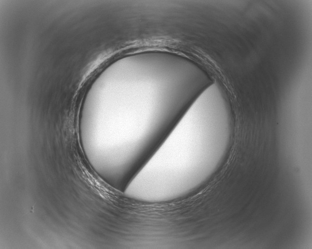 X0000086311216200703300947
