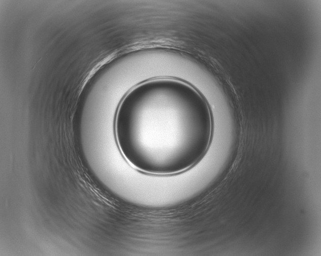X0000086311218200703300947