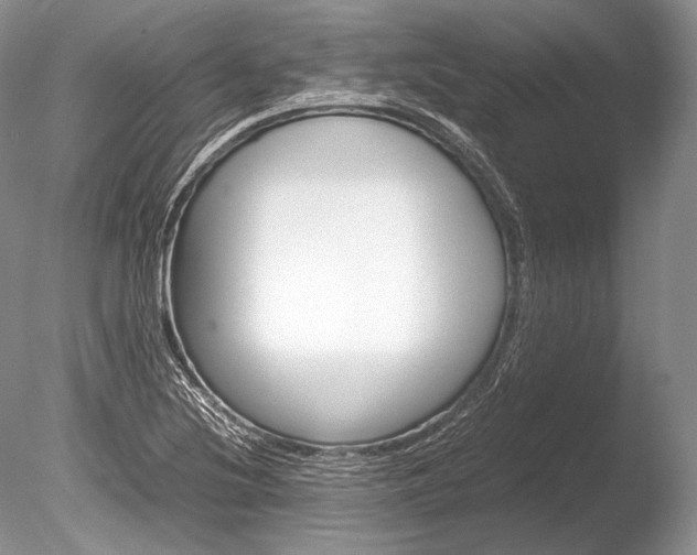 X0000086311220200703300947