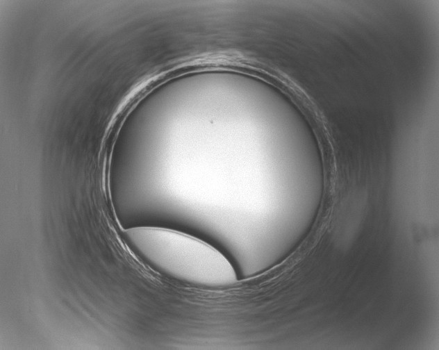 X0000086311224200703300947