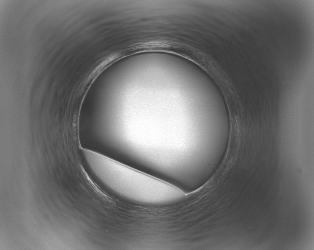 X0000086311225200703300947